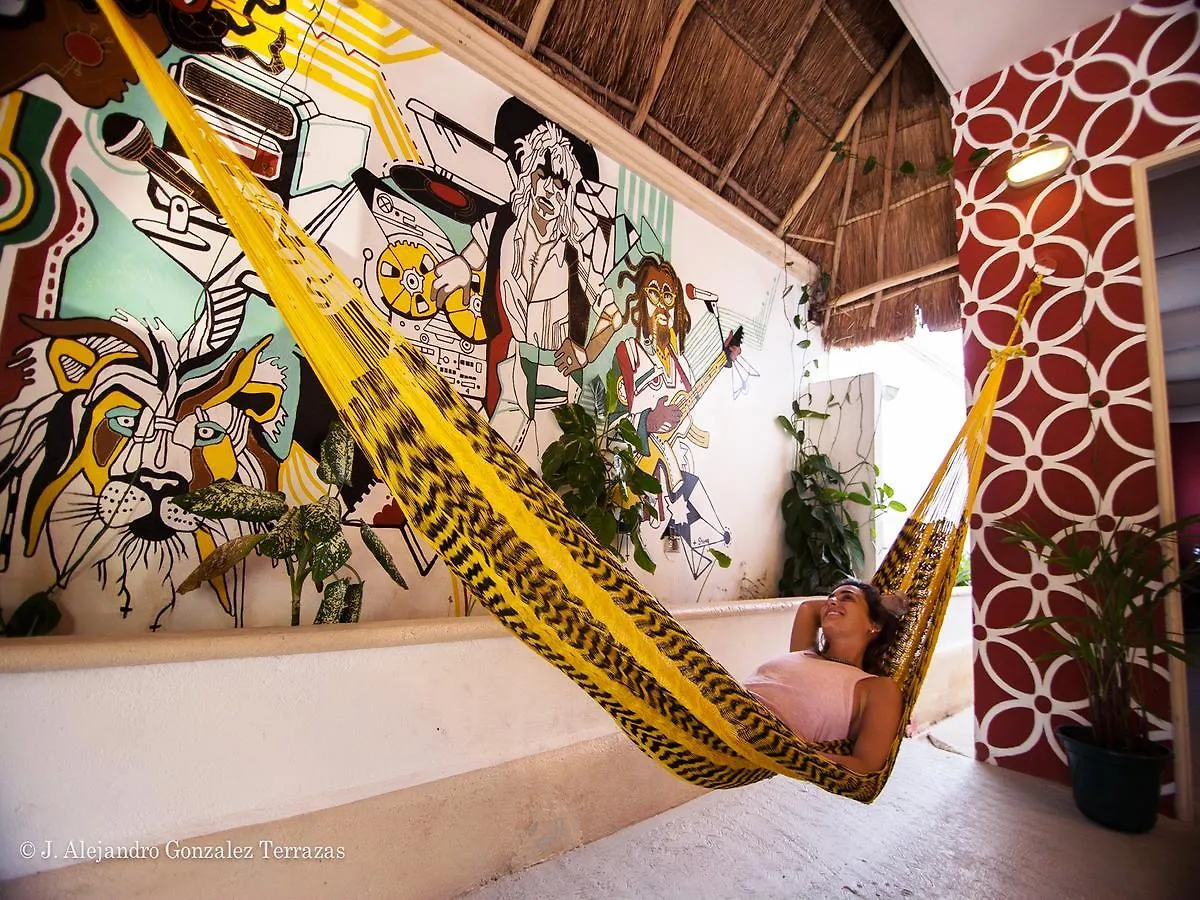 Quintana Roots Hostel Tulum